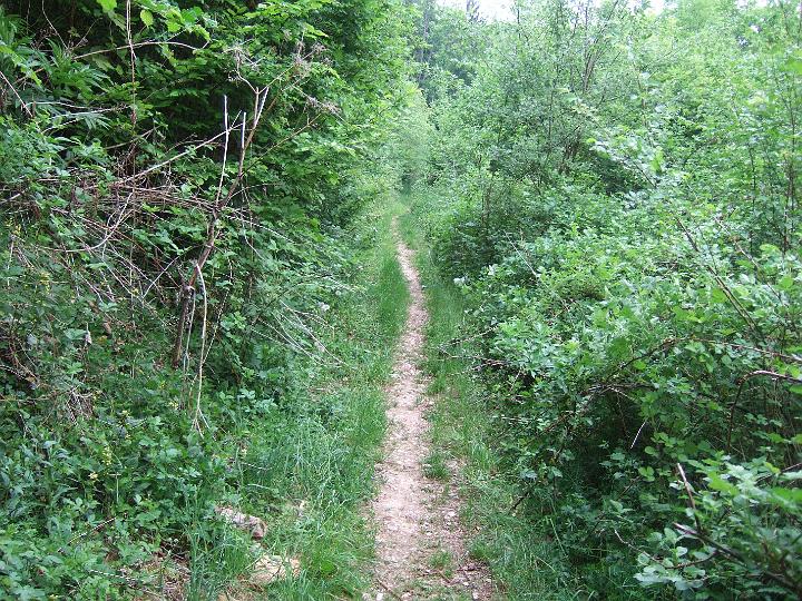 2008-05- (225).JPG - Auf dem Weg zum "Butte de Monplaisir"